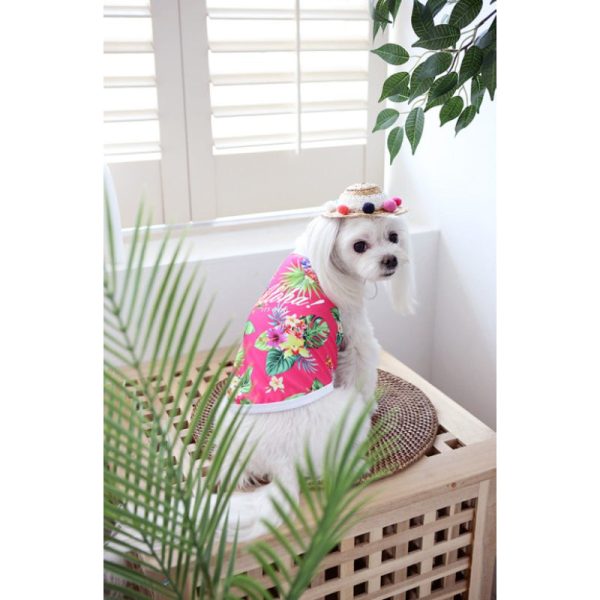 ITSDOG - Pet Aloha Rash Guard Cheap - Image 5