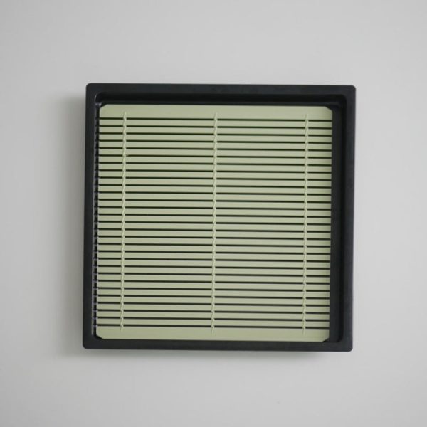Somkist - Buckwheat Soba Rice Plate Discount - Image 4