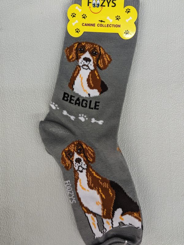 Beagle Socks   FCC-03 Online now - Image 3